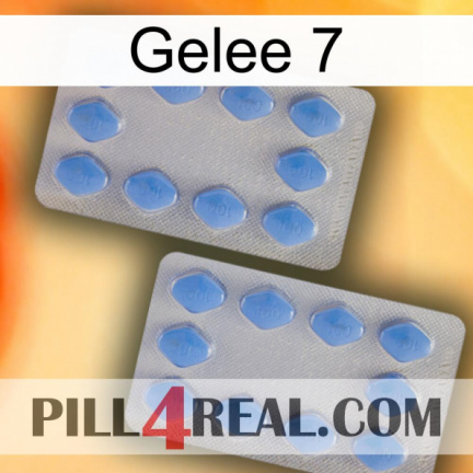 Jelly 7 20
